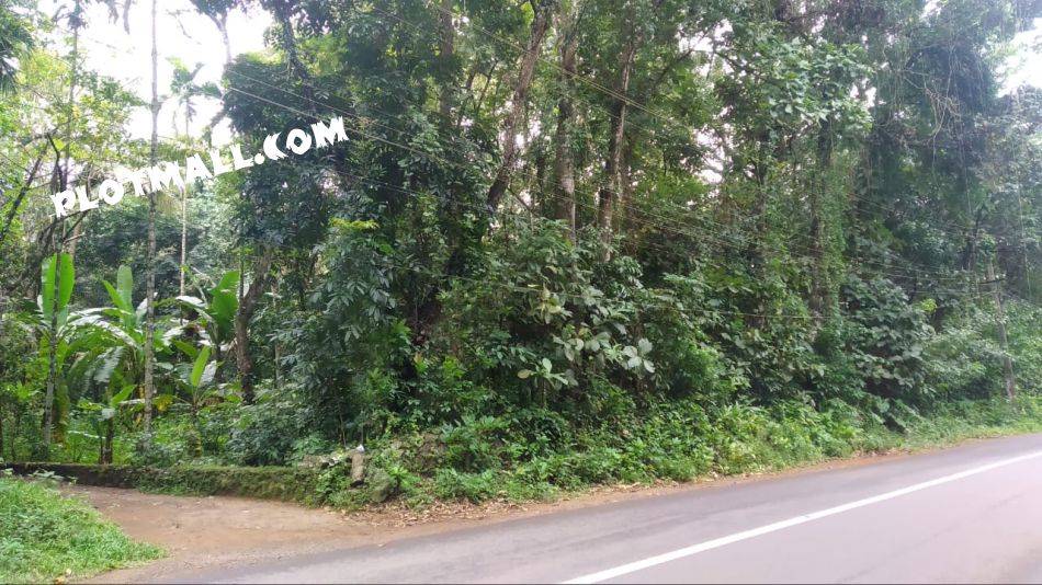 Residential Land For Sale