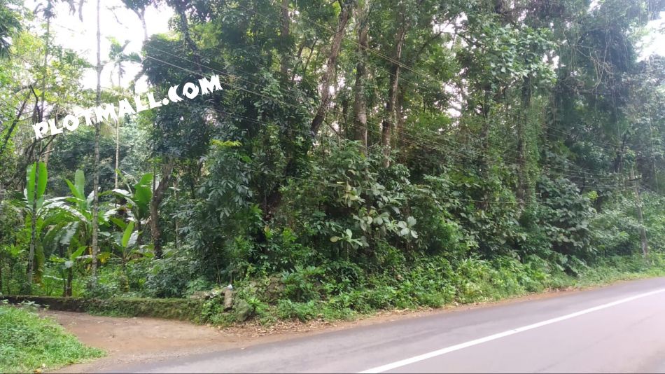 Residential Land For Sale