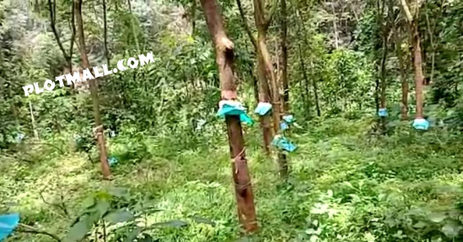 Residential Land For Sale