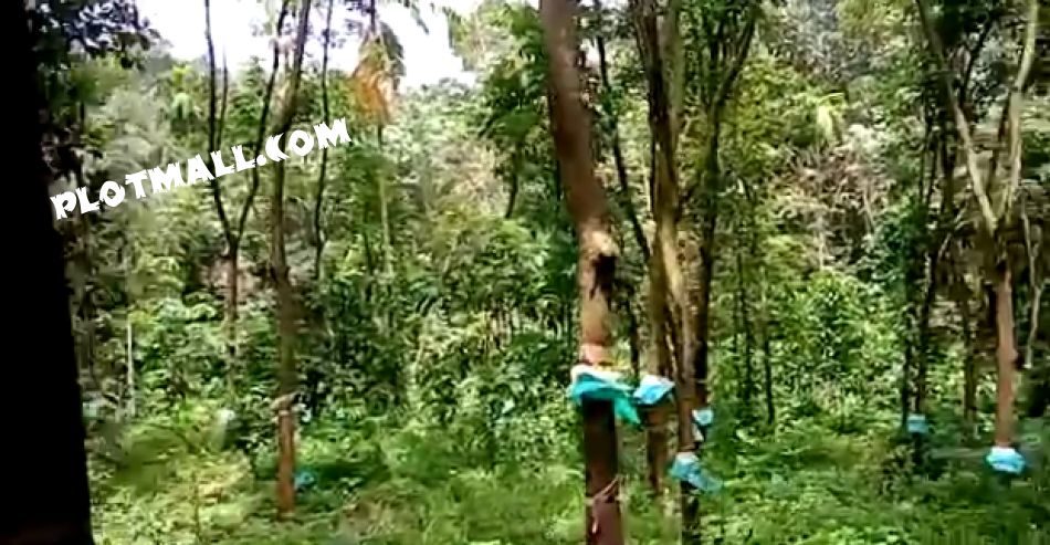 Residential Land For Sale