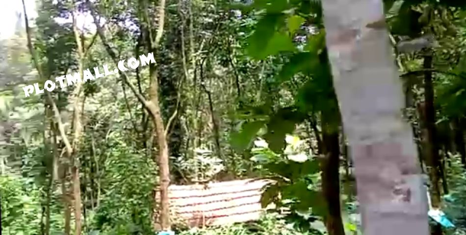 Residential Land For Sale