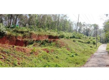 1 Acre Residential Land for Sale at Kallanode Budget - 100000 Cent