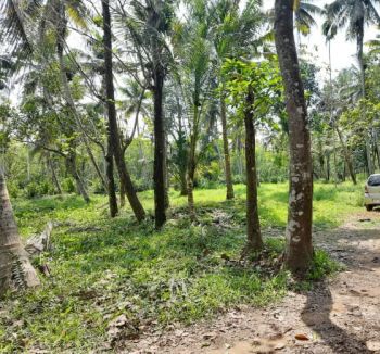 20 Cent Residential Land for Sale at Kanjiramattom Budget - 300000 Cent