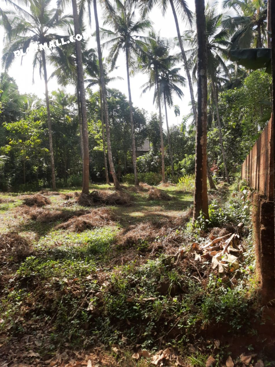 Residential Land For Sale