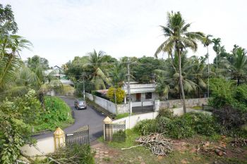23.5 Cent Residential Land for Sale at Karumalloor Budget - 11000000 Total
