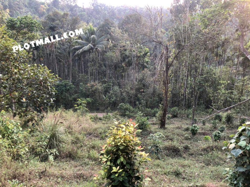 Residential Land For Sale