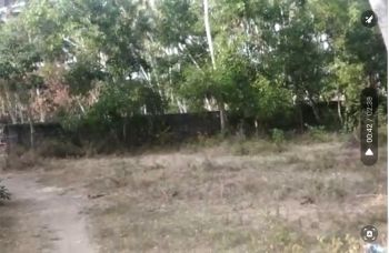 15 Cent Residential Land for Sale at Kazhakkoottam Budget - 250000 Cent