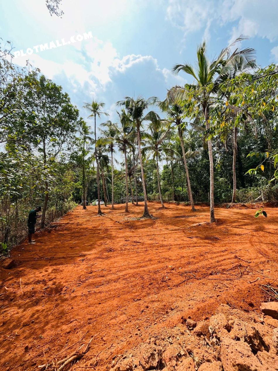 Residential Land For Sale