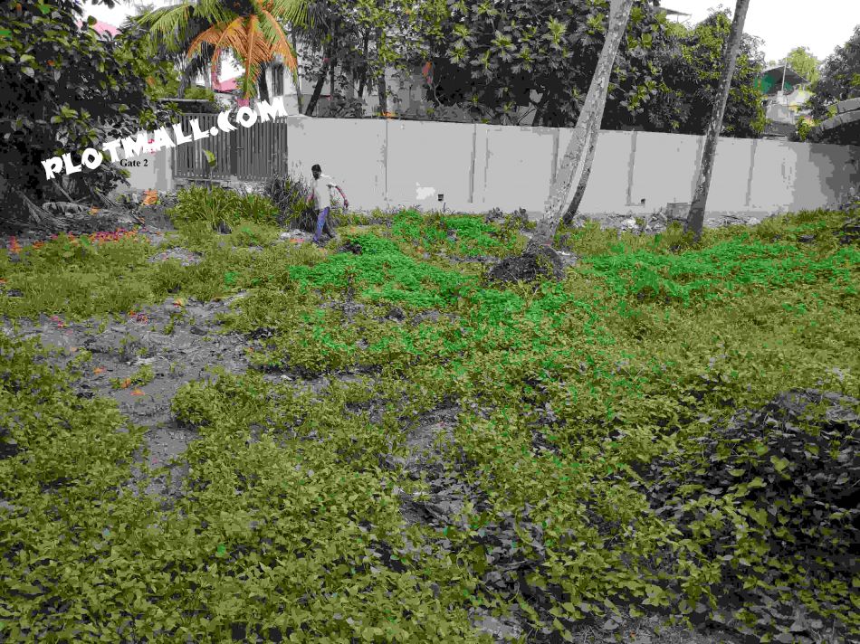 15.4 Cent Residential Land for Sale at Kochi Budget - 2000000 Cent