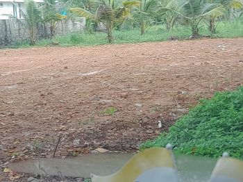 24.5 Cent Residential Land for Sale at Kochi Budget - 400000 Cent