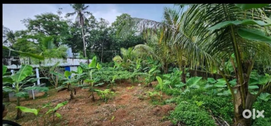 Residential Land For Sale