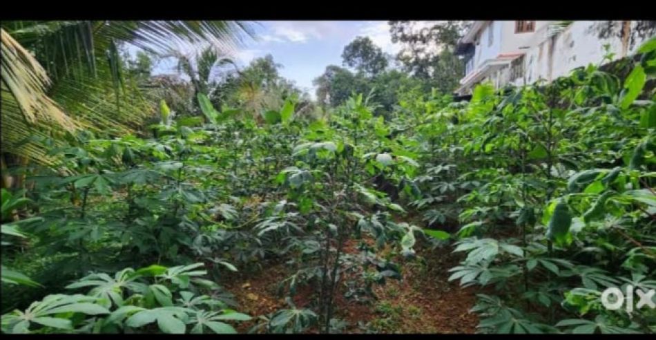 Residential Land For Sale