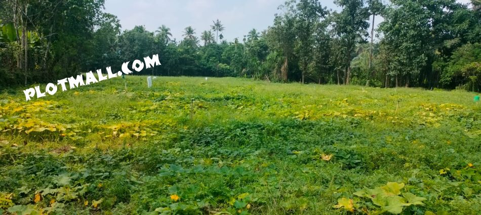 Residential Land For Sale