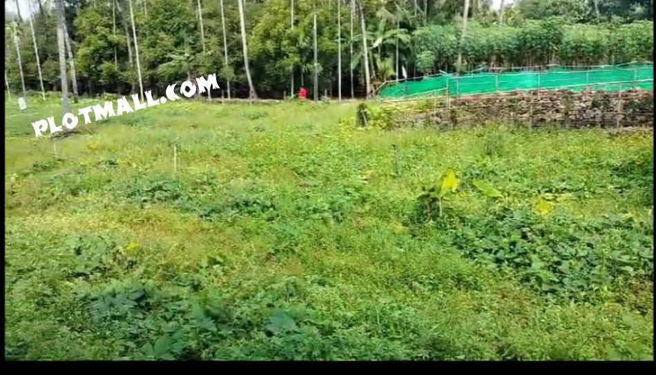 Residential Land For Sale
