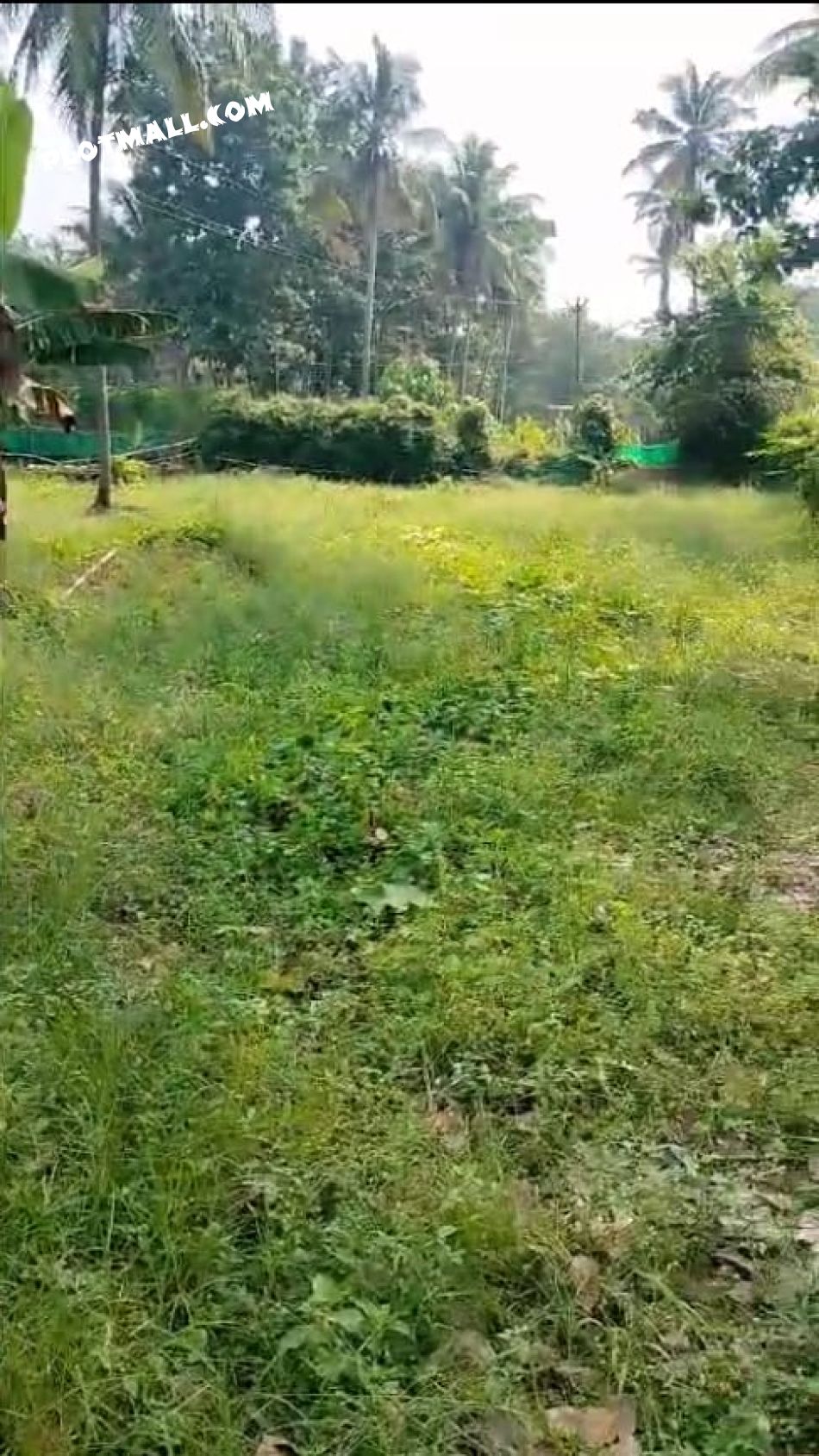 Residential Land For Sale