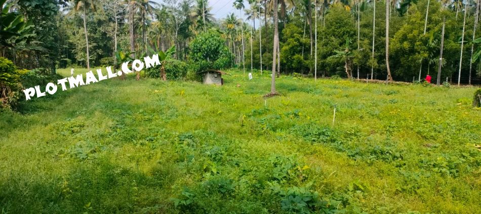Residential Land For Sale