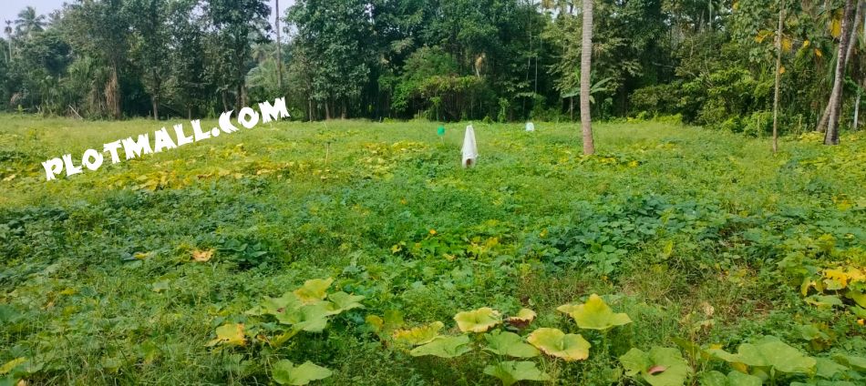Residential Land For Sale