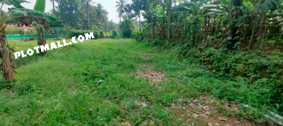 Residential Land For Sale