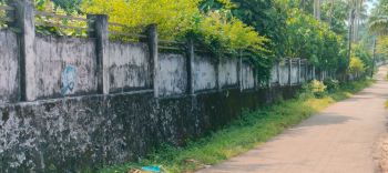 2 Acre Residential Land for Sale at Pattikad Budget - 175000 Cent