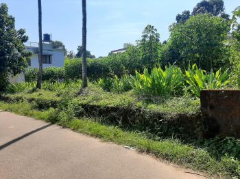 25 Cent Residential Land for Sale at Kolenchery Budget - 200000 Cent