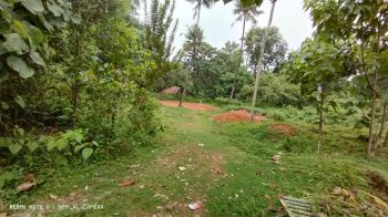35 Cent Residential Land for Sale at Kothamangalam Budget - 200000 Cent