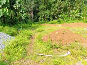 10 Cent Residential Land for Sale at Kottiyoor Budget - 100000 Cent