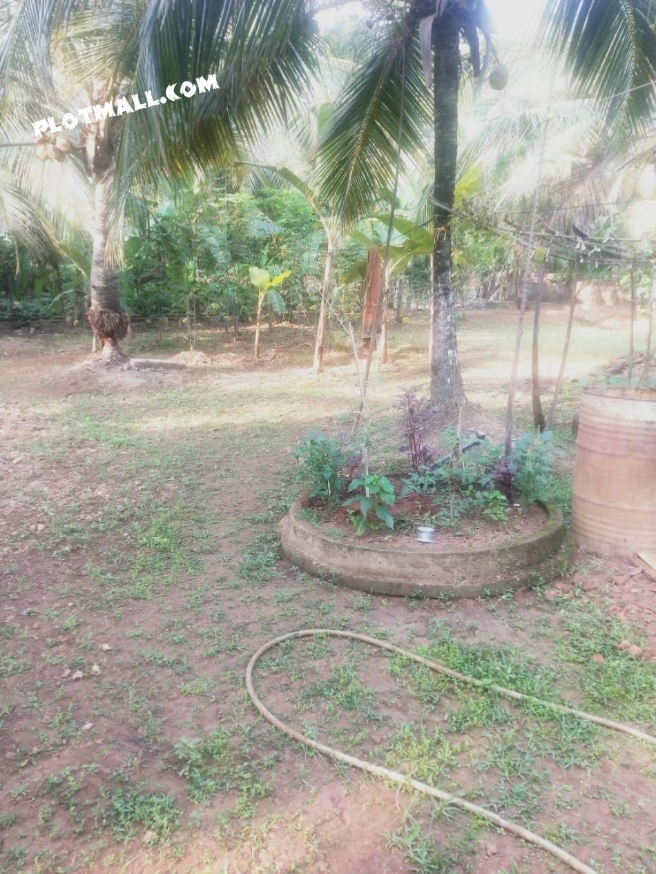 Residential Land For Sale