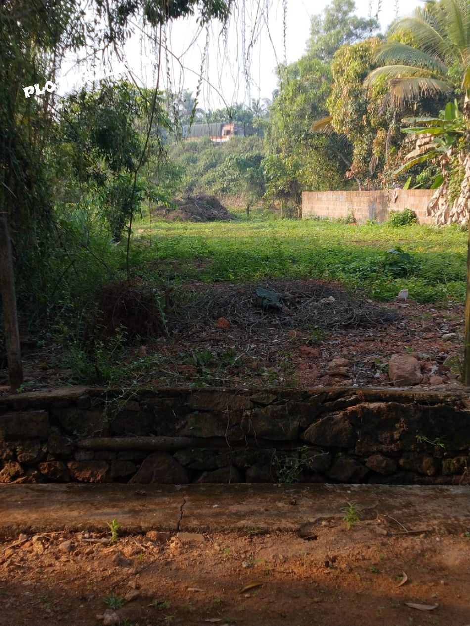Residential Land For Sale