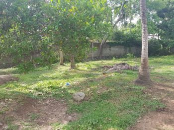 122.5  Cent Residential Land for Sale at Kulakarapadam Budget - 850000 Cent