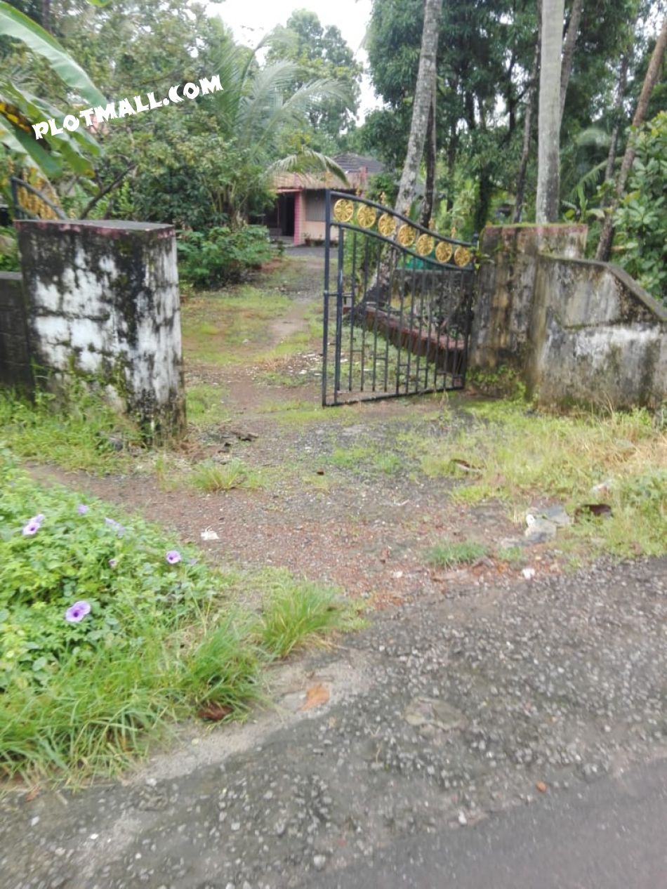 Residential Land For Sale