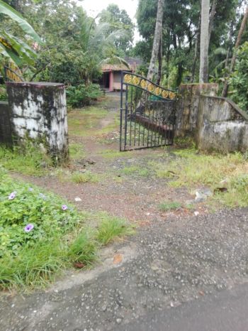 53 Cent Residential Land for Sale at Kumarakom Budget - 1200000 Cent