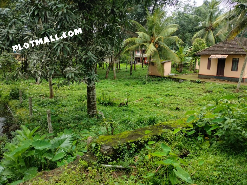 Residential Land For Sale