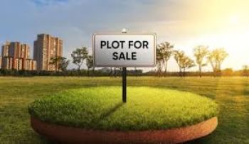 76 Cent Residential Land for Sale at Kongad Budget - 110000 Cent
