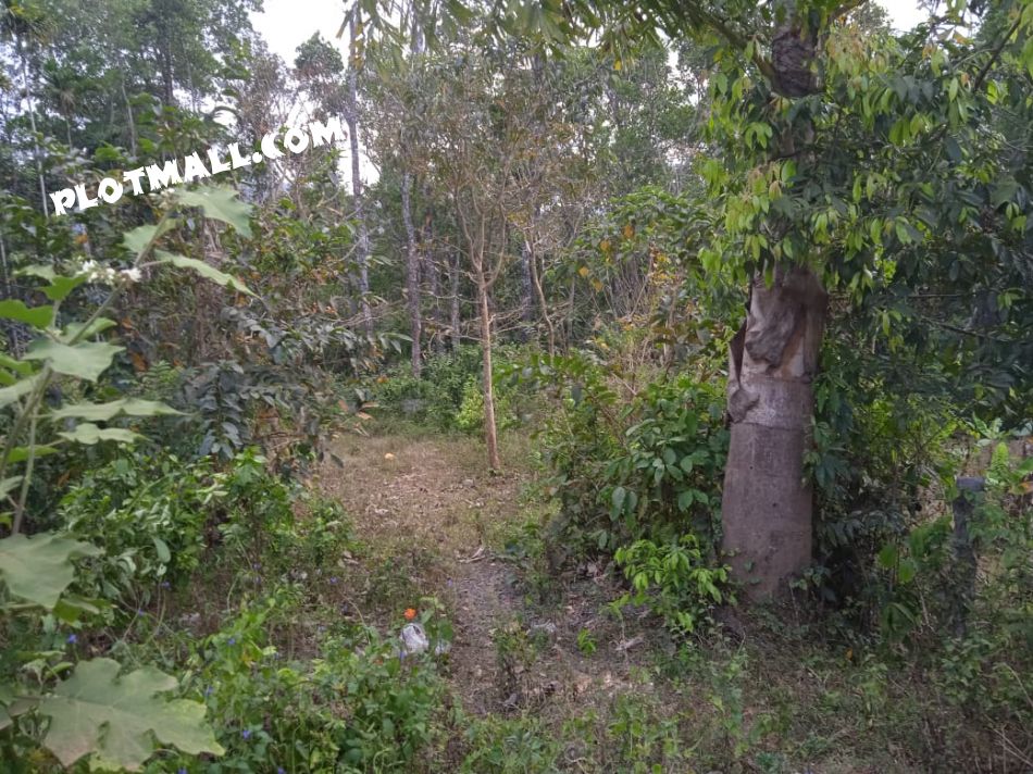 Residential Land For Sale
