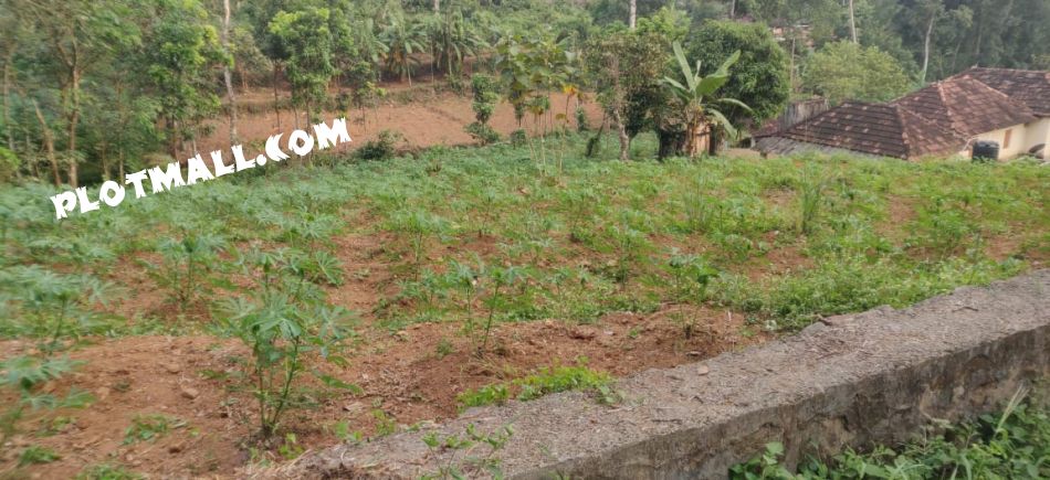 Residential Land For Sale