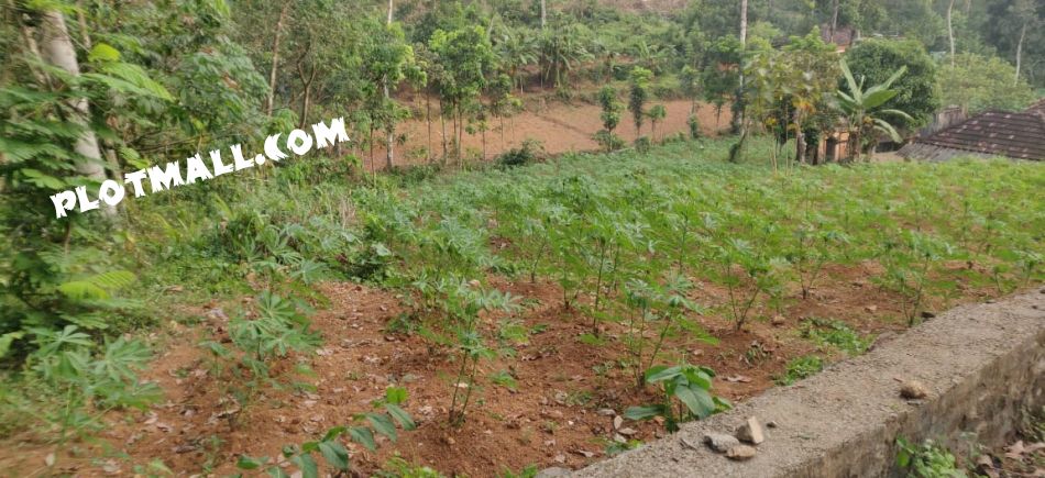 Residential Land For Sale