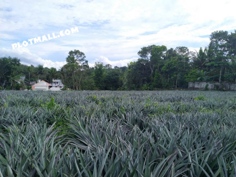 Residential Land For Sale