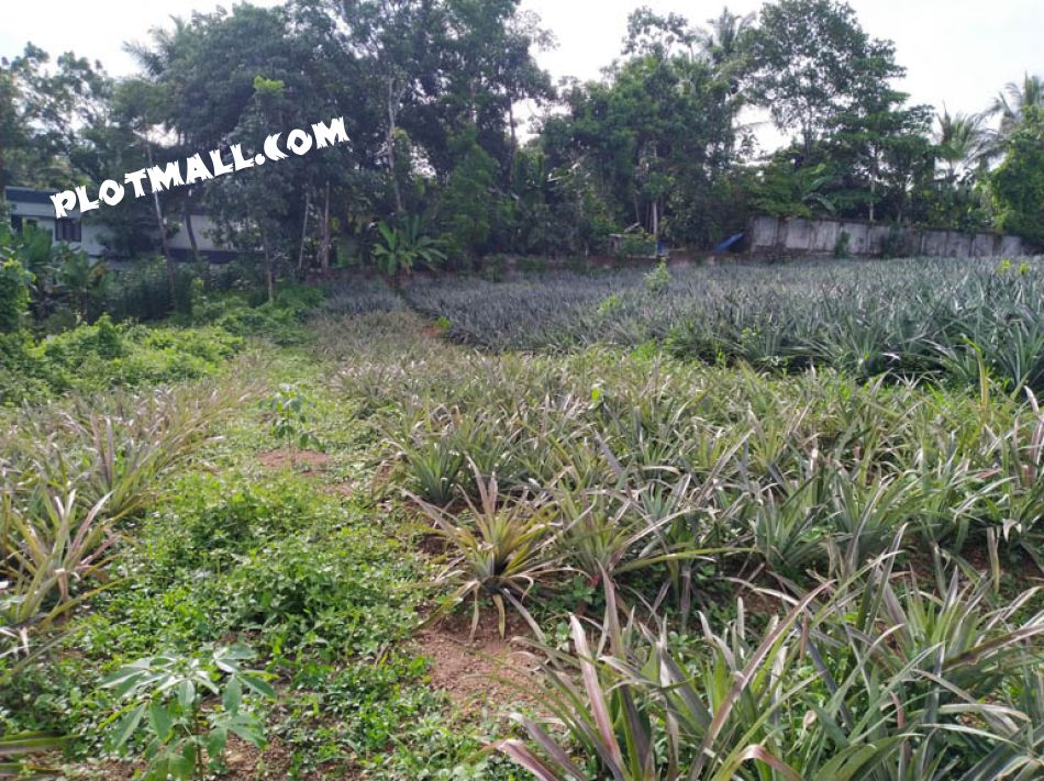 Residential Land For Sale