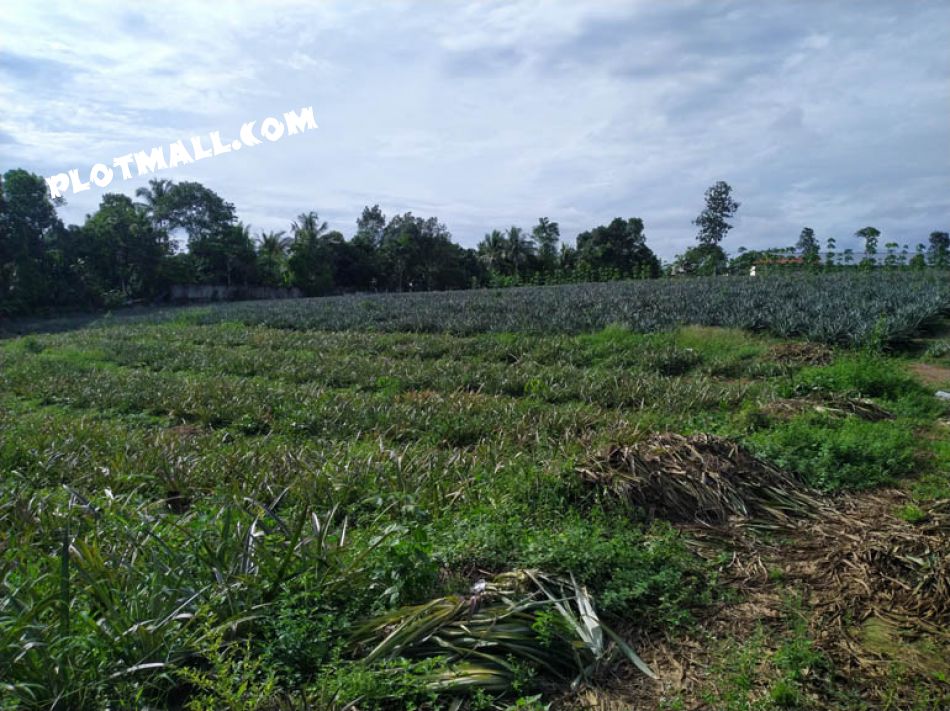 Residential Land For Sale