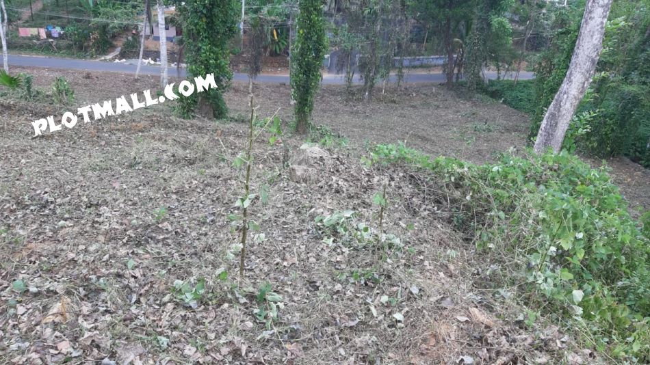 Residential Land For Sale