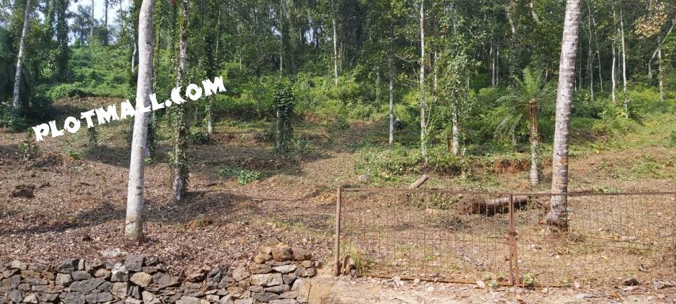 Residential Land For Sale