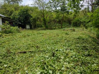 15 Cent Residential Land for Sale at Kuzhalmannam Budget - 200000 Cent