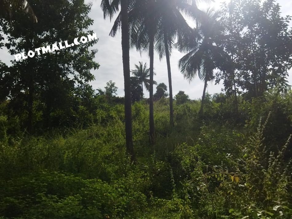 Residential Land For Sale