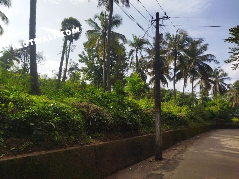 1.15  Acre Residential Land for Sale at Kuzhalmannam Budget - 10000000 Total