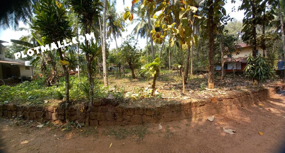 The View From One Of The Entrance To The Plot.