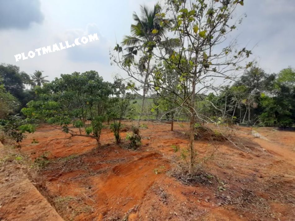 Residential Land For Sale