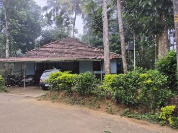 20 Cent Residential Land for Sale at Mananthavady Budget - 3500000 Total