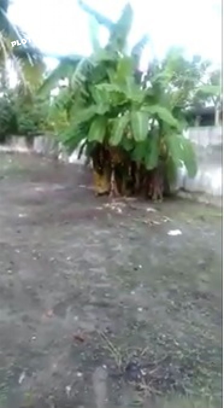 Residential Land For Sale in Maruthadi KeralaHomeLand