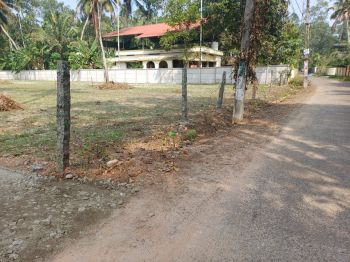 35 Cent Residential Land for Sale at Mavelikkara Budget - 270000 Cent