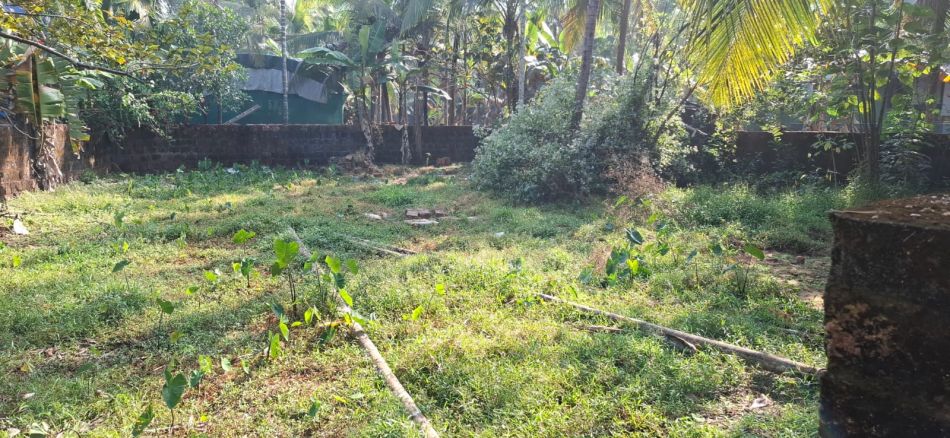 Residential Land For Sale